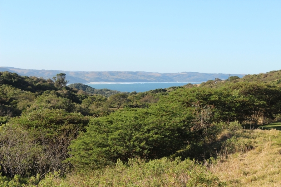 0 Bedroom Property for Sale in Khamanga Bay Eastern Cape